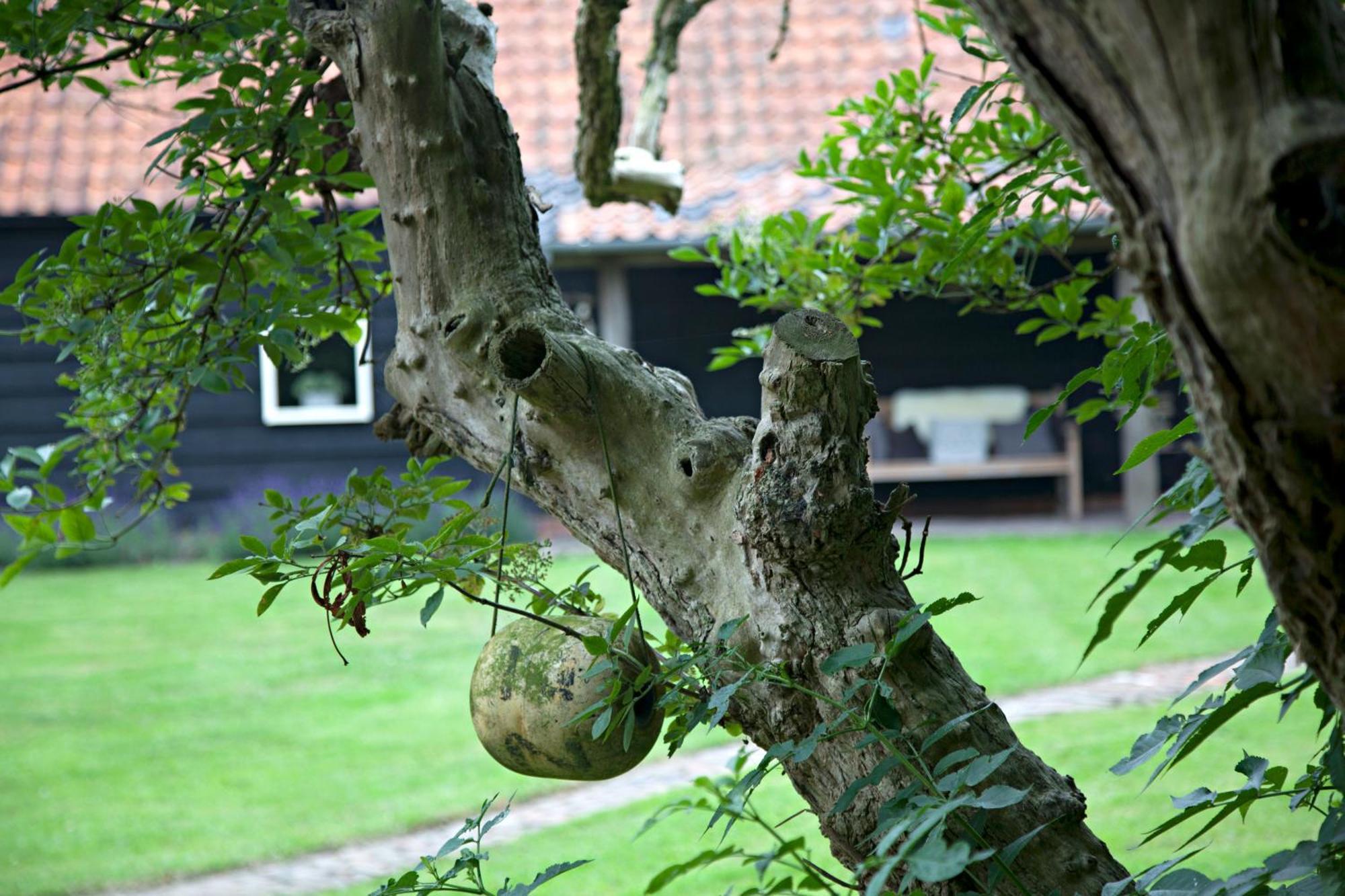 De Zeeuwsche Hoeve