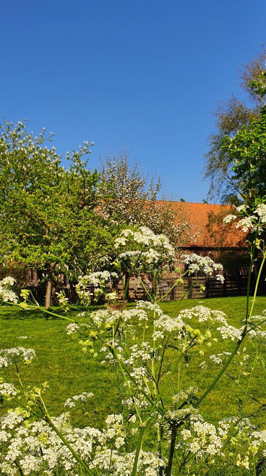 Bed & Breakfast De Zeeuwsche Hoeve 2*