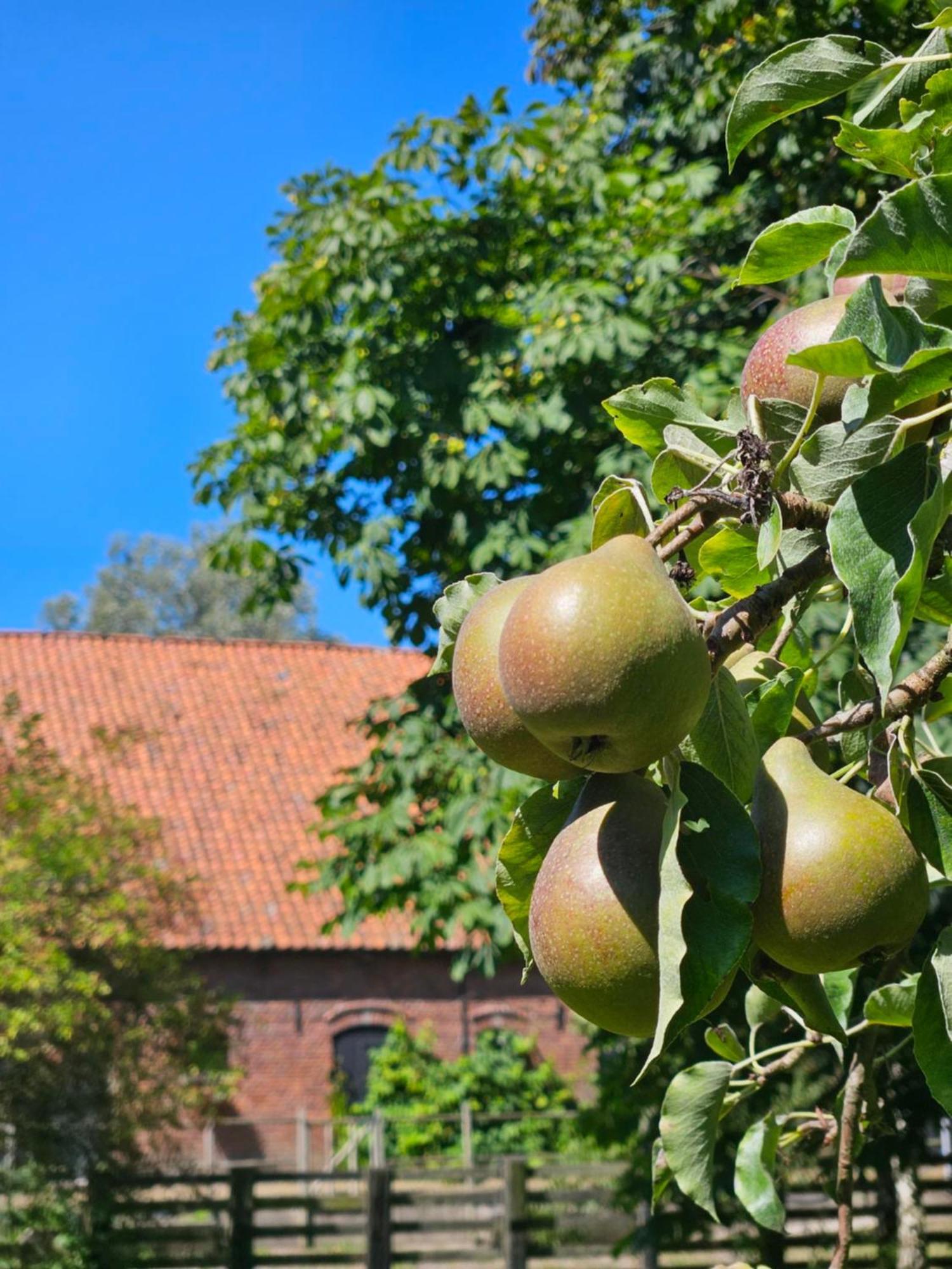 De Zeeuwsche Hoeve 2* Kerkwerve