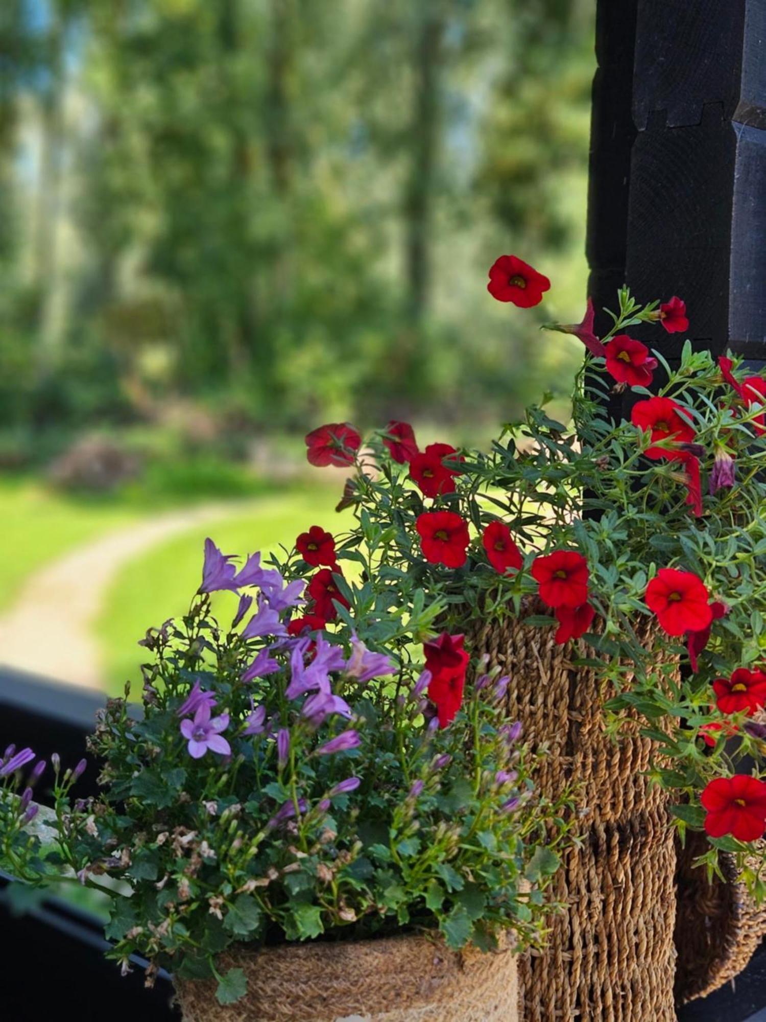 Bed & Breakfast De Zeeuwsche Hoeve
